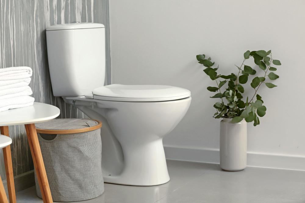 sanitaire moderne